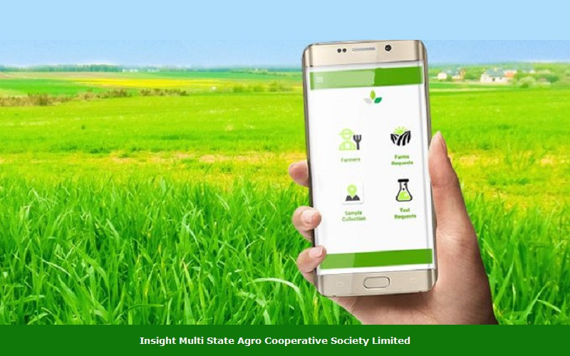 Insight Mobile App Access